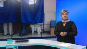 Yle Uutiset viittomakielellä: 07.07.2019 17.00