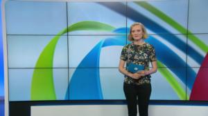 Yle Uutiset Uusimaa 31-07-2019 klo 18-12: 31.07.2019 18.22