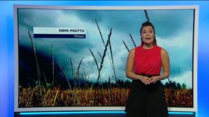 Sääennuste klo 7.00: 09.08.2019 07.39