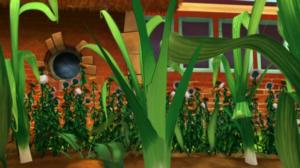 Mitä ovat rikkaruohot? (S): 16.08.2019 18.00