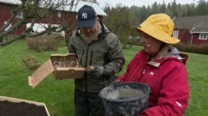 Iloa puutarhasta: 23.08.2019 09.04