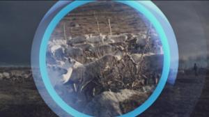 Oddasat: 29.08.2019 22.00