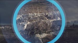 Oddasat: 03.09.2019 22.00