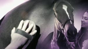 Ratsastuksen maailma: 08.09.2019 14.55