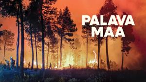 Palava maa