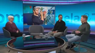 Mikaela & Thomas