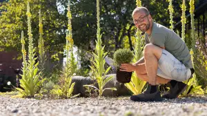 Søren Vesterin puutarha