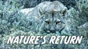 Avara luonto: Luonnon paluu