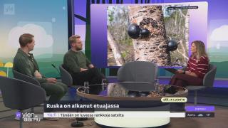 Sää ja luonto