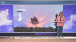 Sää