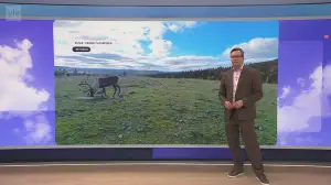 Sää