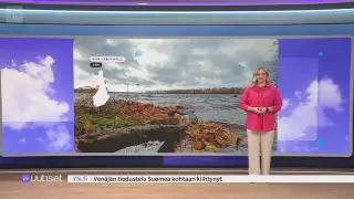 Sää
