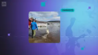 Yle Uutiset