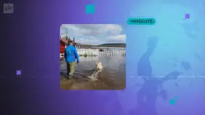 Yle Uutiset