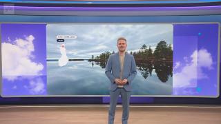 Sää
