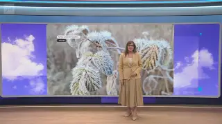 Sää
