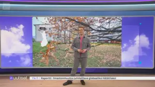 Sää