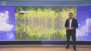 Sää