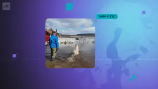 Yle Uutiset