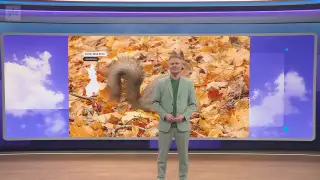 Sää