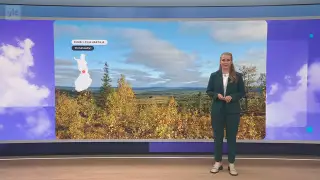Sää