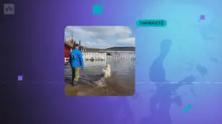Yle Uutiset