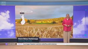 Sää