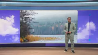 Sää