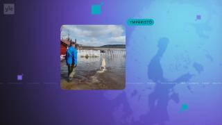 Yle Uutiset