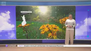 Sää