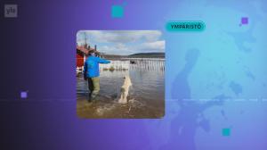 Yle Uutiset