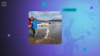 Yle Uutiset