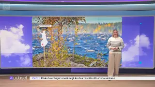 Sää