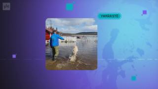 Yle Uutiset