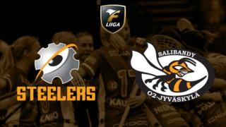 Steelers - O2-Jyväskylä, naiset Fanikamera - Steelers - O2-Jyväskylä, naiset Fanikamera 12.12.