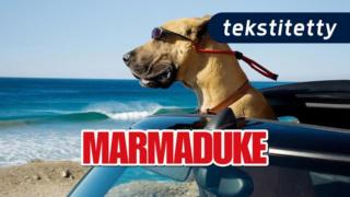 Marmaduke (tekstitetty) (7) - Marmaduke