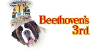 Beethovenin kolmas (12) - Beethovenin kolmas (12)