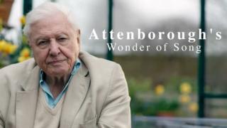 Attenborough ja laulavat eläimet
