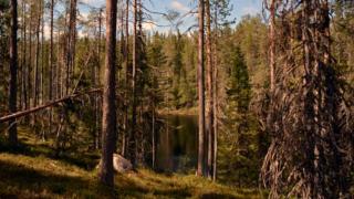 Luonto-Suomi - Luonnon auttamisen ilta