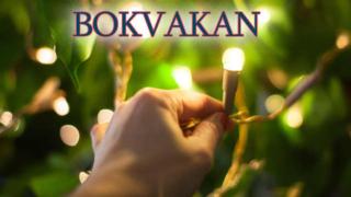 Bokvakan live - chatta med oss om årets bästa böcker