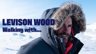 Levison Wood: Eläinten mailla