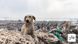 Keniassa pelätään, että maasta tulee muiden muoviroskan kaatopaikka : 19.10.2020 09.17