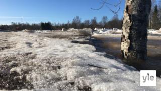 Joet tulvivat Pohjanmaalla: Yle tapaa jokirannan asukkaita, joiden pihoille vedet vyöryvät joka kevät: 31.03.2021 12.17