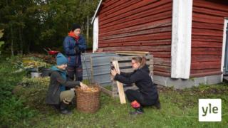 Strömsö live kl. 18:00: Bygg en enkel kompost med oss – vi visar hur du lägger grunden: 16.09.2021 18.49