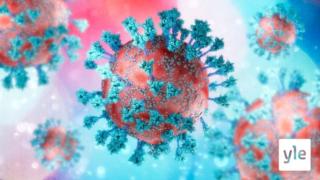 Tutkijat ovat selvittäneet koronaviruksen elämää jo liki kaksi vuotta: 19.01.2022 10.16