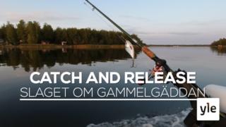 Catch & Release-fiske blir allt populärare - nu vill Finlands djurskydd förbjuda metoden: 03.10.2019 09.18