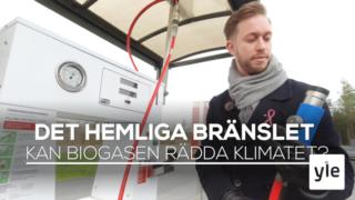 Benjamin kör sin bil på biogas och sparar pengar och miljön - varför gör inte alla det?: 01.11.2019 09.49
