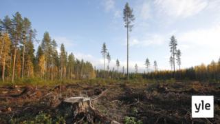 VTT esittelee Suomen keinoja hiilineutraaliuden saavuttamiseksi: 15.11.2019 15.12
