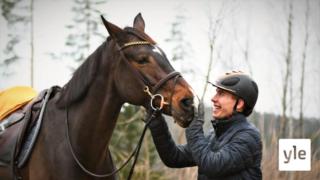 John Antell on oppinut nauttimaan jokaisesta hetkestä hevosten kanssa - sillä yhteinen matka voi yhtäkkiä päättyä: 07.12.2019 00.01