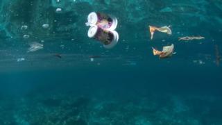 Tyynenmeren saaret täyttyvät muoviroskasta: 04.03.2019 11.35